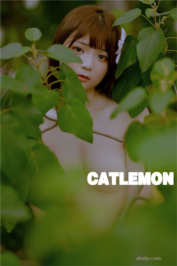  Catlemon  ʥ ͼ P.3