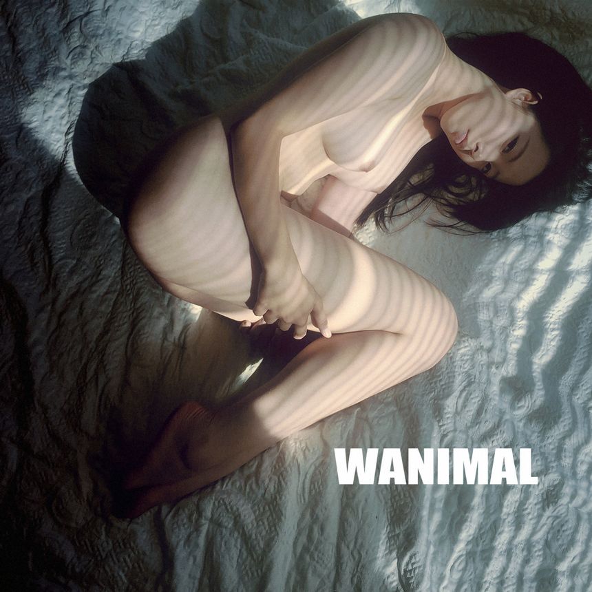 ͼ WANIMALƷ (ʮ) [86P] ڵ P.4