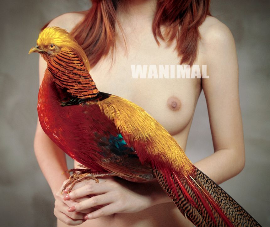 WANIMAL [121P] () ʥ ͼ P.4