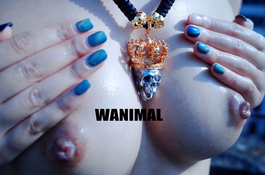 ͼ[120P] ڹ WANIMALٷƷ 12VIP P.1 